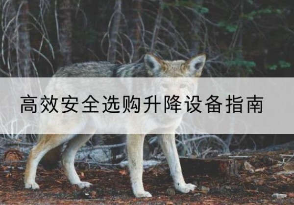 锦江升降货梯厂家推荐-*安全选购升降设备指南