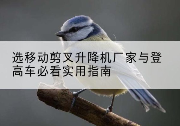 锦江电动升降机厂家-选移动剪叉升降机厂家与登高车必看实用指南